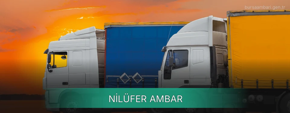 Nilüfer Ambar Kargo Nilüfer Ambar Kargo